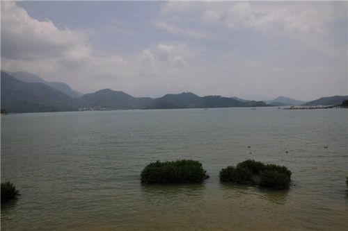 臺(tái)灣掠影瑣記