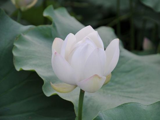 建筑詩歌鑒賞（一）