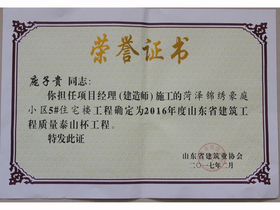 個(gè)人榮譽(yù)